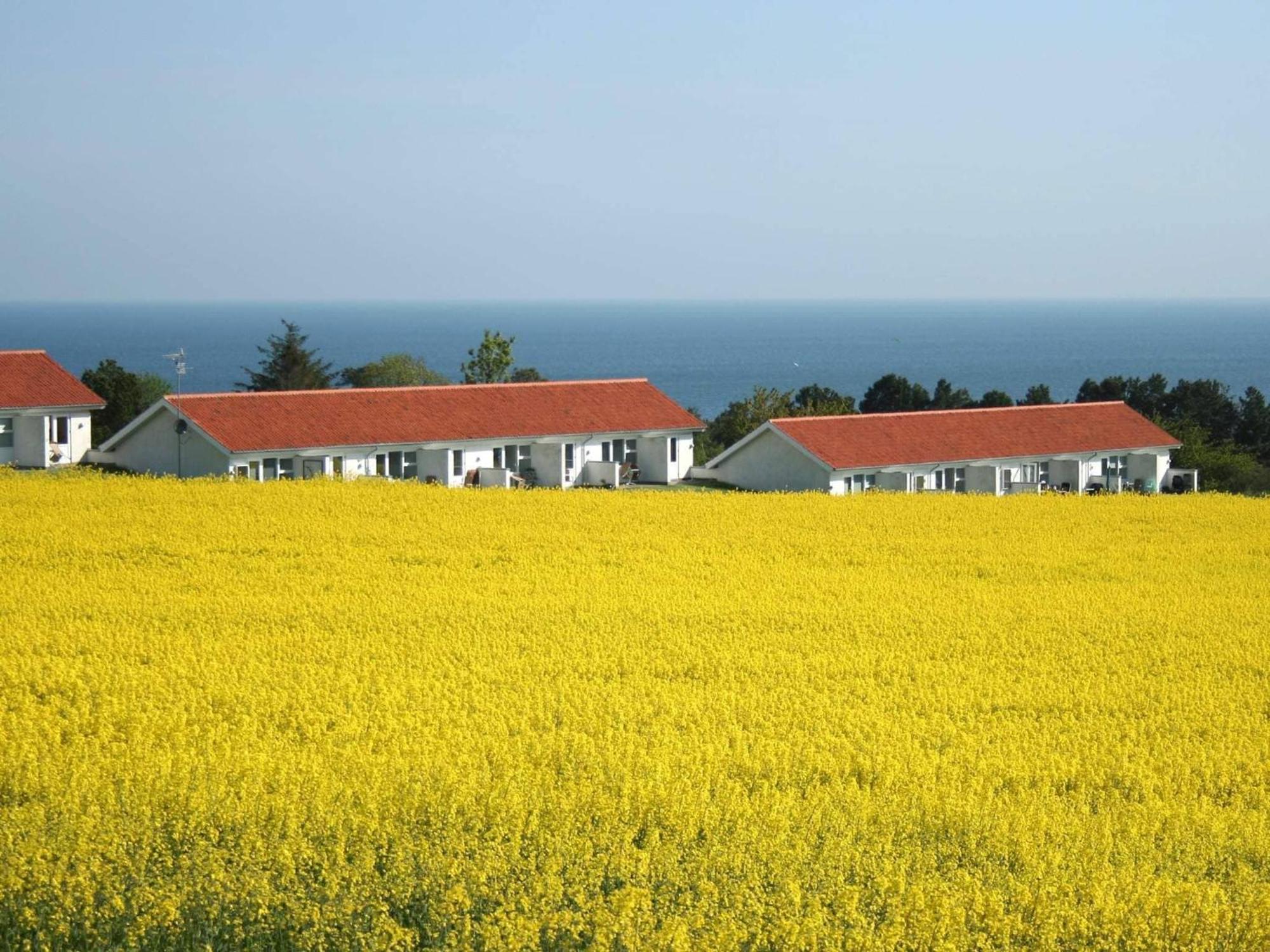 2 Person Holiday Home In Allinge エクステリア 写真